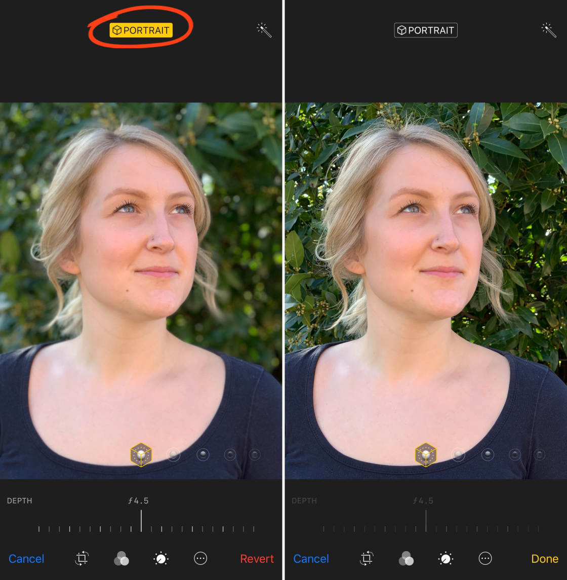 iPhone Camera Features no script